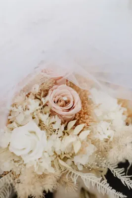 Signature Wedding Collections