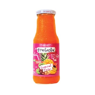 FRUITASTIC EXOTIC NECTAR 24X250ML