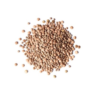 LENTILS BROWN WHOLE RED 50#