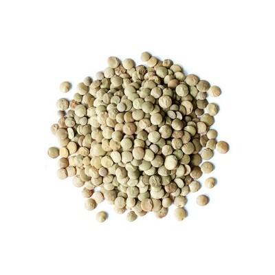 LENTILS GREEN JUMBO 50#