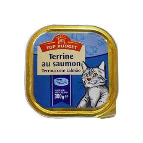 TOP BUDGET PATEE SAUMON POUR CHAT 18X300G