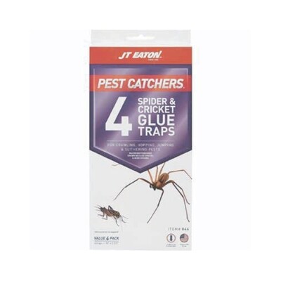 JTEATON SPIDER&amp;CRICKET GLUE TRAPS 12X4CT