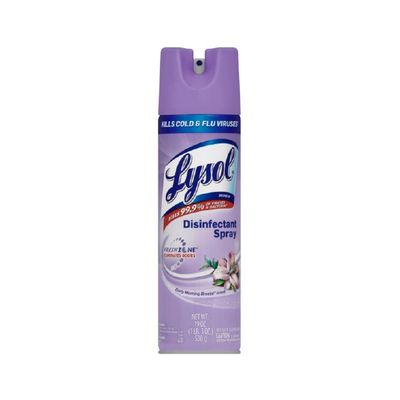 LYSOL DISINFECT SPRAY EARLY MORNING BREEZE SCENT 12X19OZ