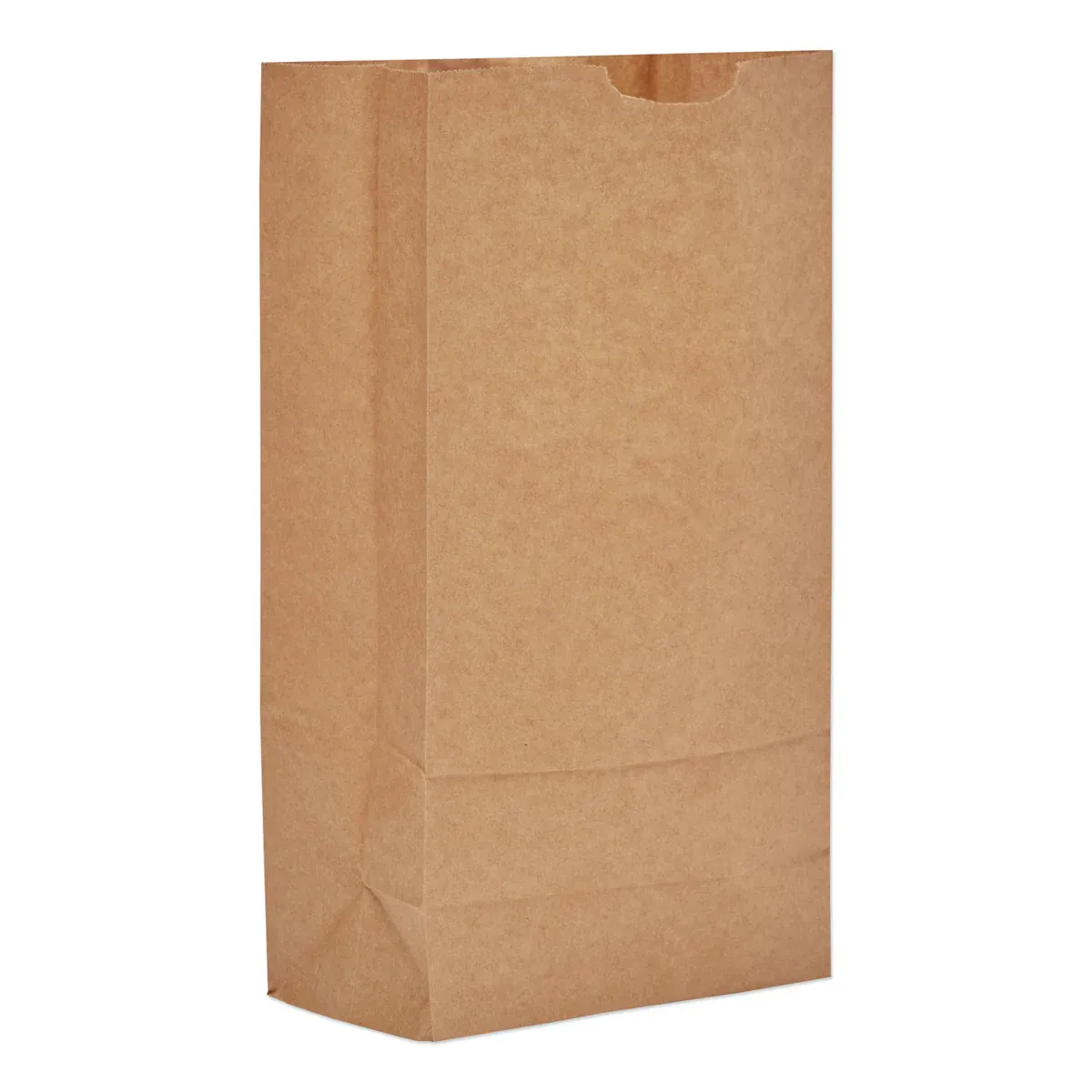 R&amp;W BROWN PAPER BAG 1# 1X500CT