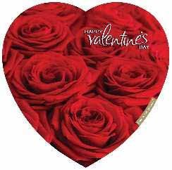 ELMERS BUNCH OF ROSES 6X16OZ