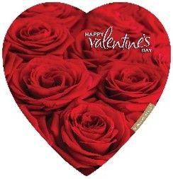 ELMERS BUNCH OF ROSES 6X8OZ