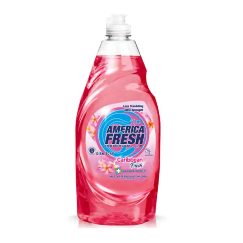 AMERICA FRESH DISH SOAP CARIBBEAN FRESH &amp; FRAGRANCE BOOSTER 24X520ML
