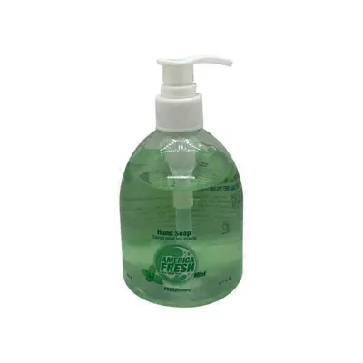 AMERICA FRESH HAND SOAP MINT 24X300ML