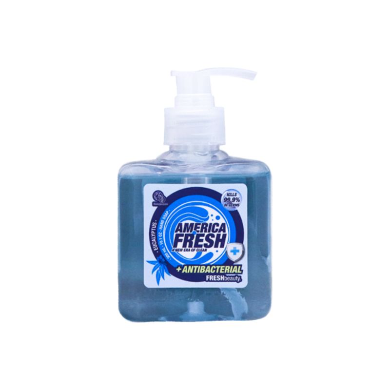 AMERICA FRESH HAND SOAP EUCALYPTUS &amp; ANTIBACTERIAL 24X300ML