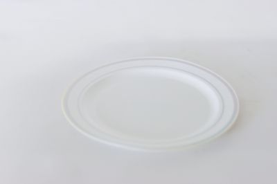 6&quot; Masterpiece Plate White/Silver 15/Bag