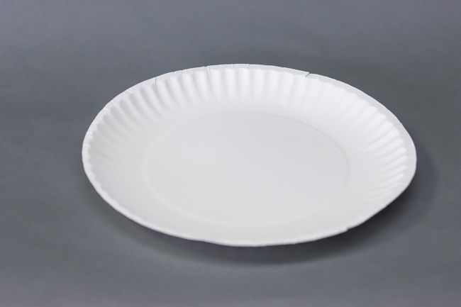 Better Valu 9&quot; Uncoated Paper Plate White 300ct