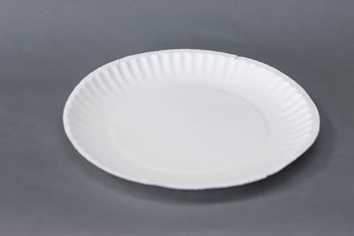 Better Valu 9&quot; Uncoated Paper Plate White 300ct