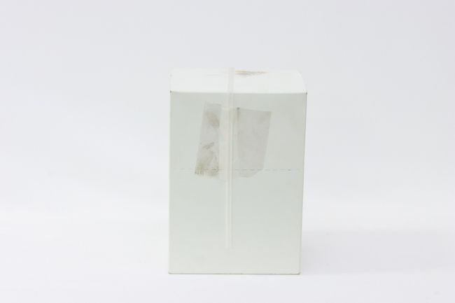 BWK Unwrapped Jumbo Straws 500 ct