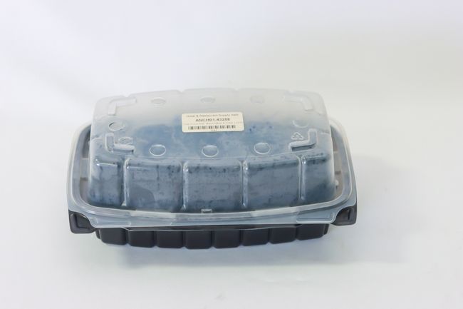 Crisp Food 9x9&quot; Black Base &amp; Clear Lid Hinged Container 100/case