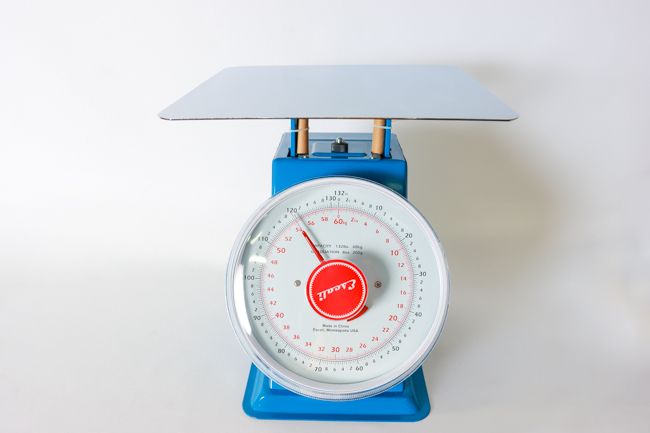 Escali Marco Dial Scale 132 Lb/ 60 Kg