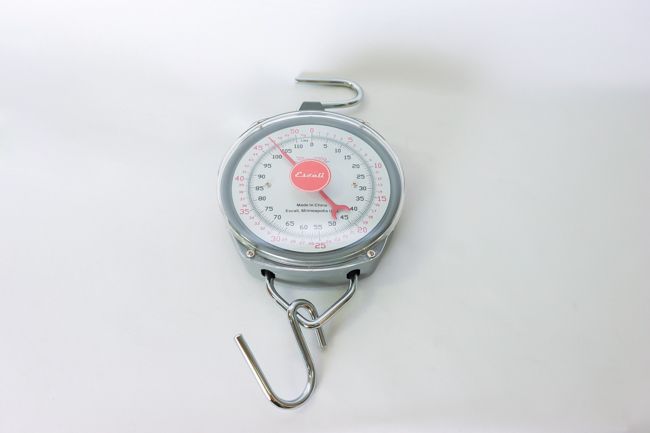 Escali Prof Hanging Dial Scale, 110 Lb / 50 Kg