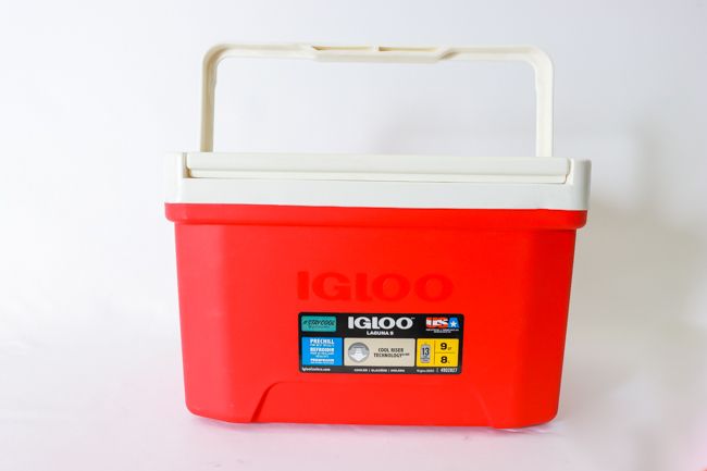 Igloo Laguna Cooler Red/White 9qt
