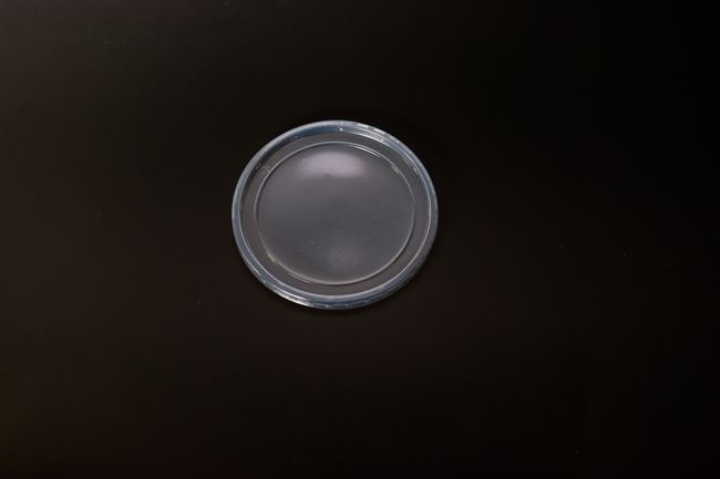 MICROLITE CLEAR DELI LIDS 500CT