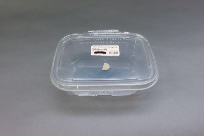 Safe-Pinch 24oz Tamper Evident 6x5&quot; Clear Hinged Cont. 50/Pack TE6724