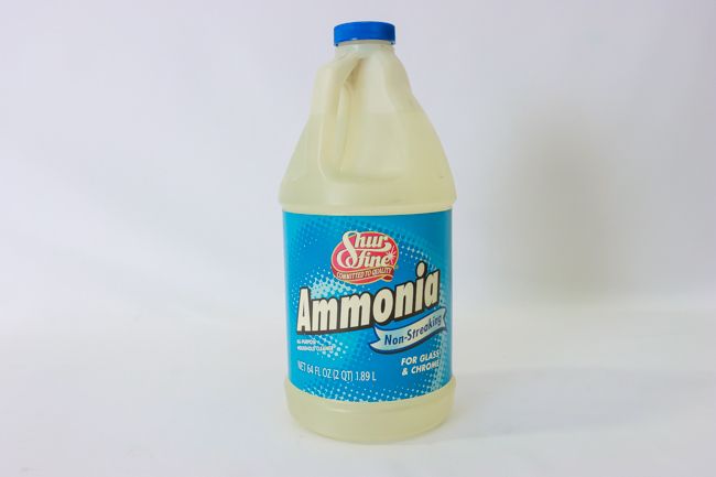 SF 64 oz Ammonia