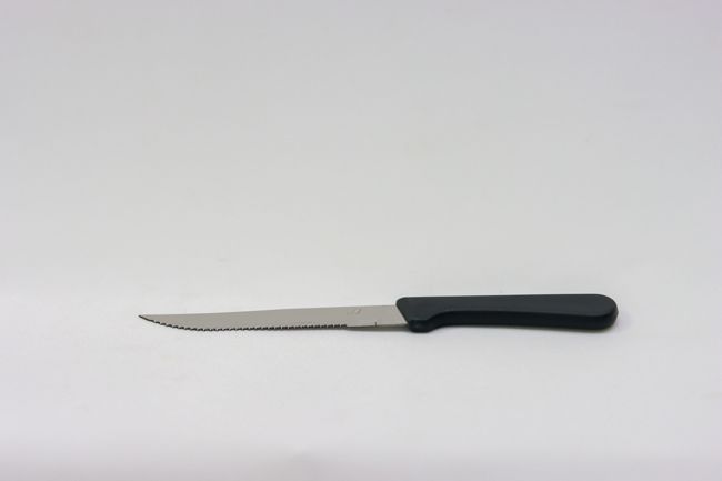 TG 4 3/4 Steak Knife Pointed Tip Plastic Handle 1Doz
