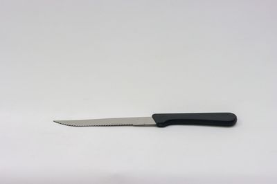 TG 4 3/4 Steak Knife Pointed Tip Plastic Handle 1Doz