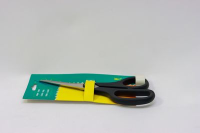 TG 4&quot; Scissor Plastic Handle