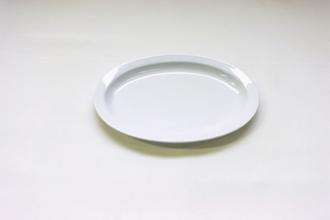 TG 9&quot; Narrow Rim Dinner Plate White