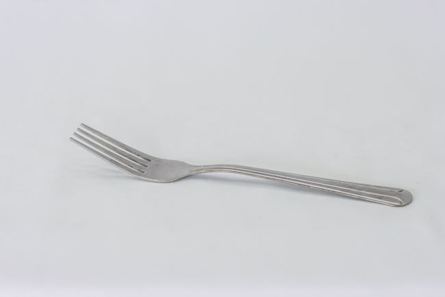 TG Domilion Dinner Fork Doz