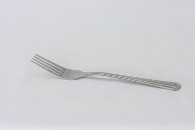 TG Domilion Dinner Fork Doz