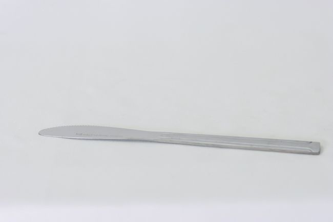 TG Domilion Dinner Knife Doz