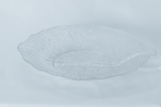 TG Leaf Plate 9&quot; Clear