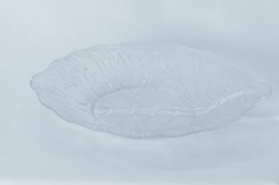 TG Leaf Plate 9&quot; Clear
