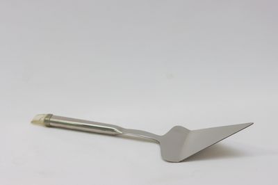 TG Pie/Cake Server