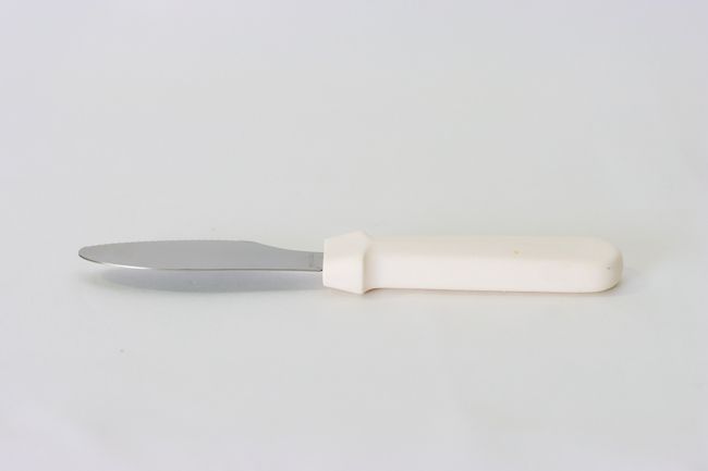 TG Sandwich Spreader Plastic
