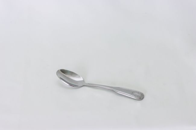 TG Sea Shell Tea Spoon Doz