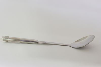 TG Solid Serving Spoon