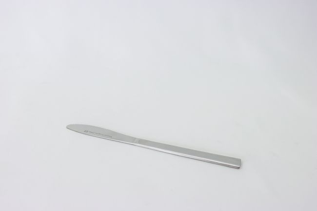TG Winsor Dinner Knife Doz