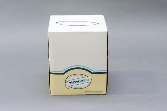 Vicbay Facial Tissue Premium White 2 Ply 90ct #356007