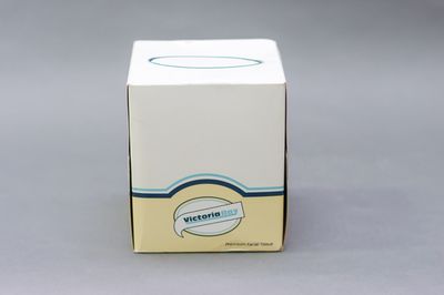 Vicbay Facial Tissue Premium White 2 Ply 90ct #356007