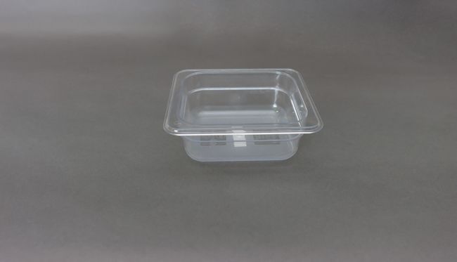 WC Poly One Sixth Size Pan Deep 2 1/2&quot;