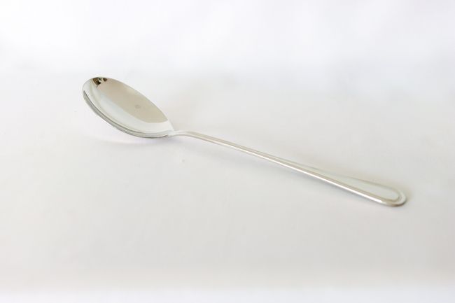 WC Shangarila Banquet 11" Solid Spoon Unit