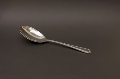 WC Shangarila Banquet Serving Spoon Unit