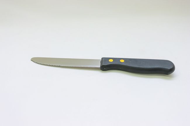 WTI 10&quot; Steak Knife (1 Doz)