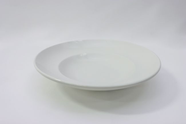 WTI 16 oz Bowl 11-3/4&quot; Porcelain Basics