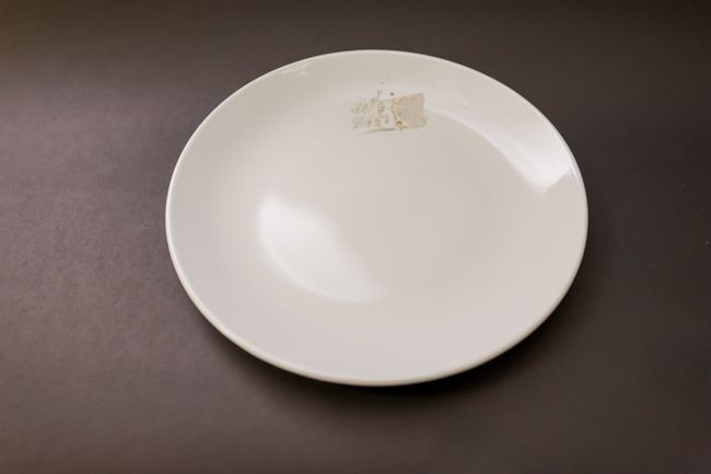 WTI Pocelana 9&quot; Round Plate