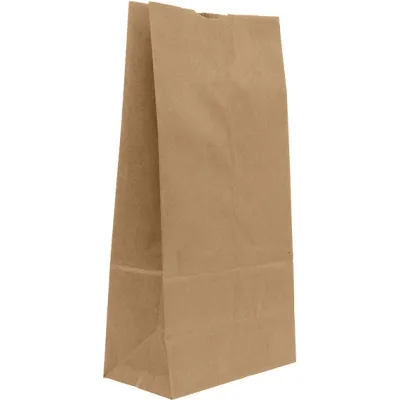 R&amp;W BROWN PAPER BAG 8# 1X500CT
