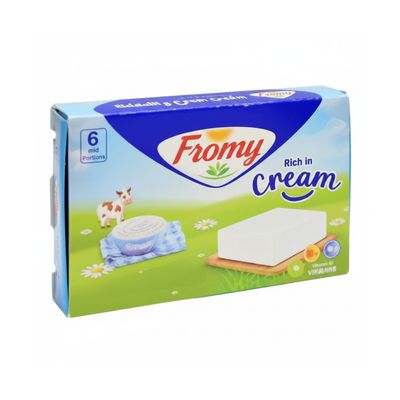 FROMY CARRE CHEESE 6 CT 48/84 GR 03/02/26