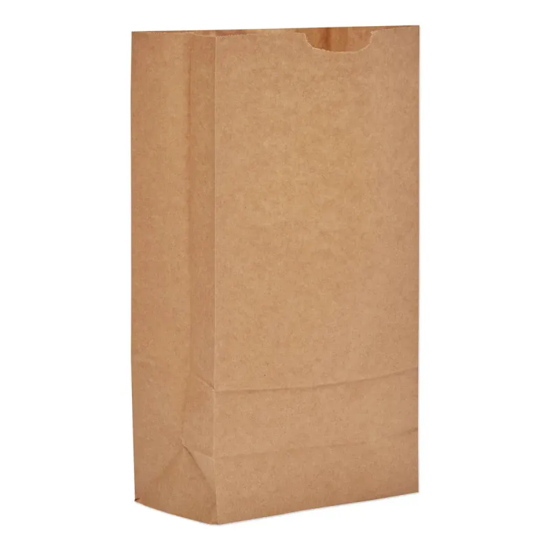 R&amp;W BROWN PAPER BAG 1# 1X500CT