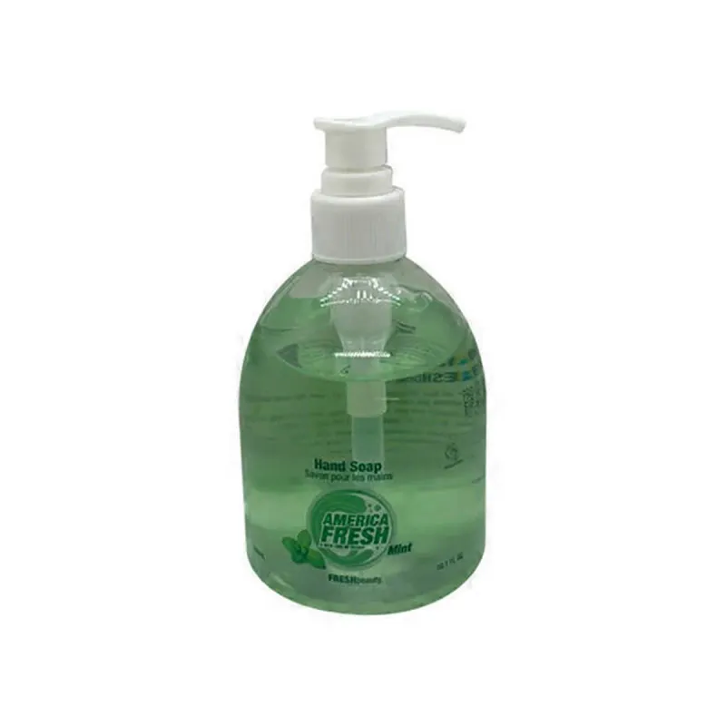 AMERICA FRESH HAND SOAP MINT 24X300ML